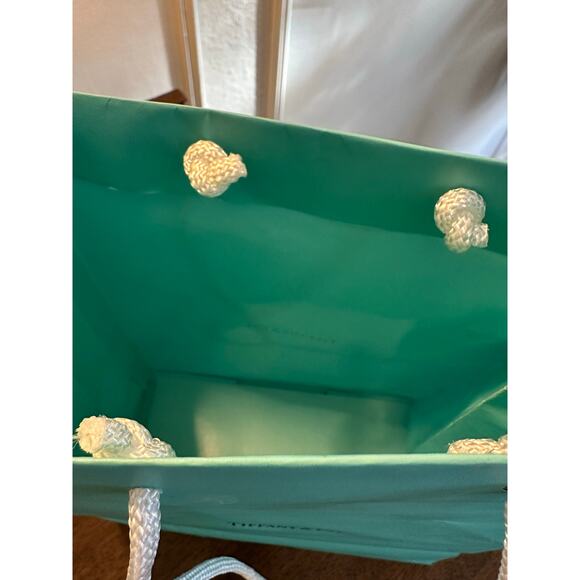Tiffany & Co gift bag teal white rope handle jewelry crystal .925 Return to - Picture 7 of 8